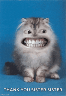 Smile Cat GIF - Smile Cat Cheese GIFs