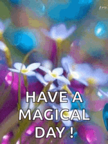 Butterfly Magical Day GIF