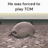 He Was Forced To Play Tcm GIF - He Was Forced To Play Tcm Tcm GIFs