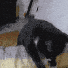 a black cat laying on a bed with a yellow and grey blanket