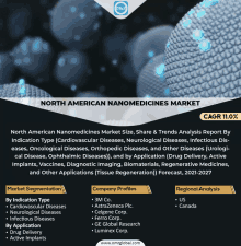North American Nanomedicines Market GIF