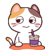 a calico cat drinking a cup of coffee with a straw