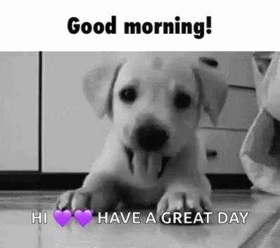 have a great day dog