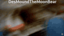 Des Mound The Moon Bear GIF - Des Mound The Moon Bear GIFs
