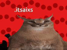a picture of a cat with a red background and the words itsaixs above it