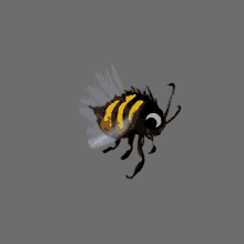 Honey Bees GIF - Honey Bees Yellow GIFs