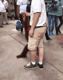 Youre So Funny Lol GIF - Youre So Funny Lol Monkey GIFs