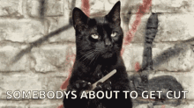 Tell Me More Salem GIF - Tell Me More Salem Cat GIFs