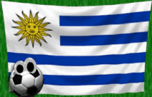 Urugay GIF - Uruguay GIFs