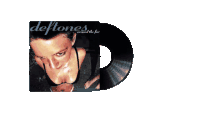 a record of deftones around the fire