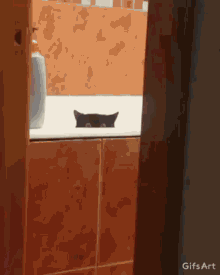 Cat Death Stare GIF - Cat Death Stare Bath GIFs