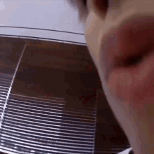 a close up of a person 's face with blinds behind them