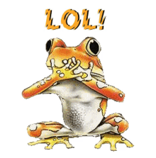 frog laugh