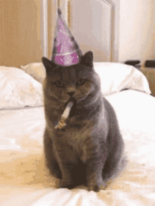 Happy Birthday To You Brother Hb2y GIF - Happy Birthday To You Brother Happy Birthday Hb2y GIFs