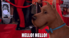 Scooby Doo Hello Hello GIF - Scooby Doo Hello Hello Red Carpet GIFs
