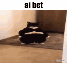 Ai Bet Aight Bet GIF - Ai Bet Aight Bet Ai Bet Cat GIFs