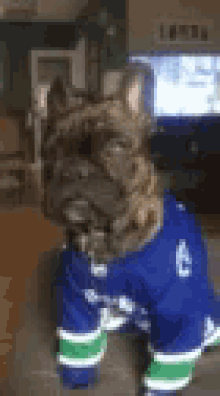Dog Bulldog GIF - Dog Bulldog GIFs