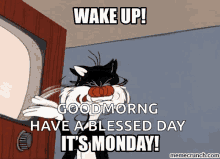Its Monday Wake Up GIF - Its Monday Wake Up Sylvester GIFs