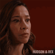 Let Us Fix This Sarah Truong GIF - Let Us Fix This Sarah Truong Hudson And Rex GIFs