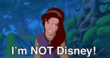 Quest For Camelot Kayley GIF - Quest For Camelot Kayley Not Disney GIFs