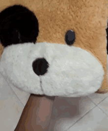 a person is holding a stuffed animal that looks like a fox