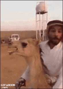 ناقه GIF - Camel Riding Sahara GIFs