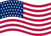a red white and blue flag with white stars on it