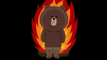 Bear Flames GIF - Bear Flames Cartoon GIFs
