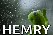 a kermit the frog looking out a window with the word hemry written below him