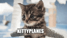 Kittyplane GIF - Kittyplane GIFs