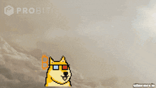Ordinal Doge Doge GIF - Ordinal Doge Doge Dogecoin GIFs