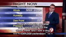 Mediocre Meteorologist GIF - Greg Proops Weather Hot GIFs