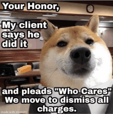Doge Lawyer Who Cares GIF - Doge Lawyer Who Cares Trial GIFs