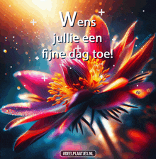 a colorful flower with the words " wens jullie een fijne dag toe " above it