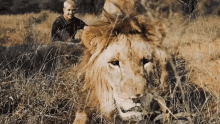 Staring Dean Schneider GIF - Staring Dean Schneider Part Of The Lion Pride GIFs