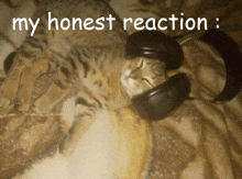 My Honest Reaction My Reaction To That Information GIF - My Honest Reaction My Reaction To That Information GIFs