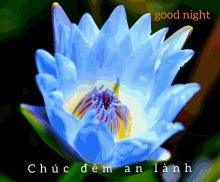 Good Night Lotus Bloom GIF - Good Night Lotus Bloom Buddha Lotus GIFs