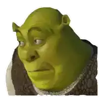 shrek from shrek is looking at the camera with a serious look on his face