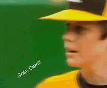 Gosh Darn Baseball GIF - Gosh Darn Baseball GIFs