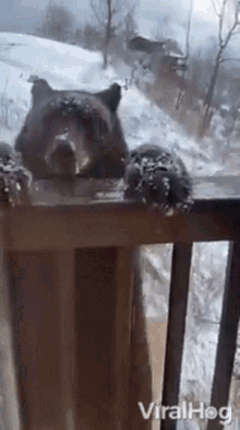 Bear Viralhog GIF - Bear Viralhog Climb GIFs