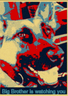 Radar Dog GIF - Radar Dog Ray Ray GIFs