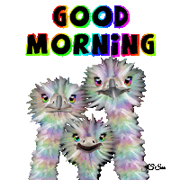 a cartoon of three ostrich heads with the words " good morning " above them
