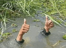 a person is giving a thumbs up sign while swimming in a puddle of water .
