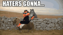 Orioles Baltimore Orioles GIF - Orioles Baltimore Orioles Haters Gonna Hate GIFs
