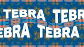 Tebra Brate GIF - Tebra Brate Matori GIFs