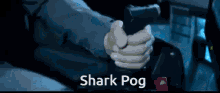 Pog Shark GIF - Pog Shark GIFs