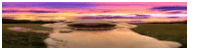 a blurry picture of a sunset over a body of water with a cat in the foreground .