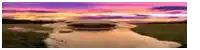 a blurry picture of a sunset over a body of water with a cat in the foreground .
