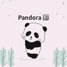Sorry Pandora Pandora GIF