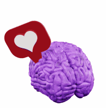 love heart like brain hannover
